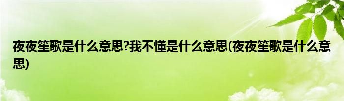 夜夜笙歌是什么意思?我不懂是什么意思(夜夜笙歌是什么意思)