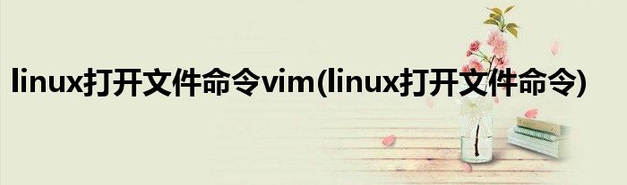 linux打开文件命令vim(linux打开文件命令)