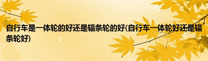 自行车是一体轮的好还是辐条轮的好(自行车一体轮好还是辐条轮好)