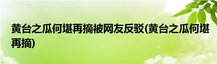 黄台之瓜何堪再摘被网友反驳(黄台之瓜何堪再摘)