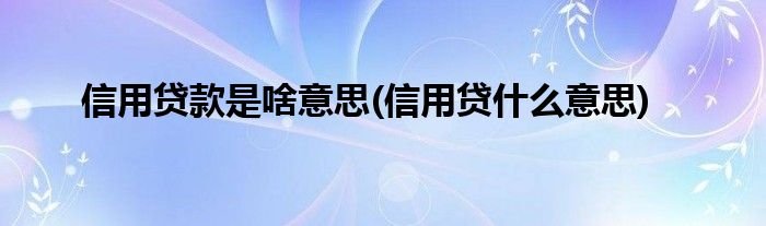 信用贷款是啥意思(信用贷什么意思)