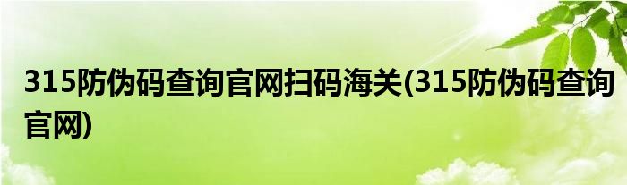 315防伪码查询官网扫码海关(315防伪码查询官网)