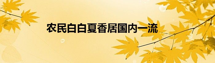 农民白白夏香居国内一流