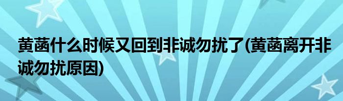 黄菡什么时候又回到非诚勿扰了(黄菡离开非诚勿扰原因)