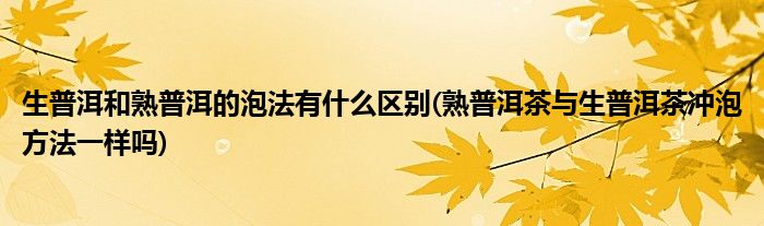 生普洱和熟普洱的泡法有什么区别(熟普洱茶与生普洱茶冲泡方法一样吗)