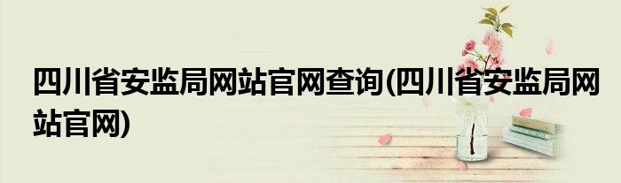 四川省安监局网站官网查询(四川省安监局网站官网)