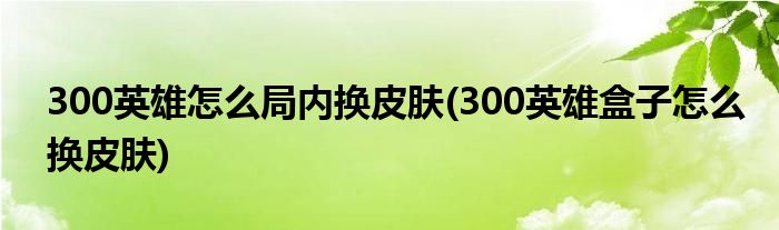 300英雄怎么局内换皮肤(300英雄盒子怎么换皮肤)