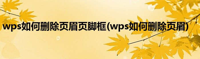 wps如何删除页眉页脚框(wps如何删除页眉)