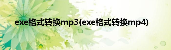 exe格式转换mp3(exe格式转换mp4)