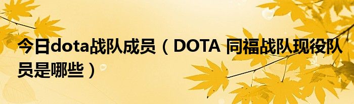 今日dota战队成员（DOTA 同福战队现役队员是哪些）