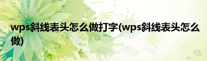 wps斜线表头怎么做打字(wps斜线表头怎么做)