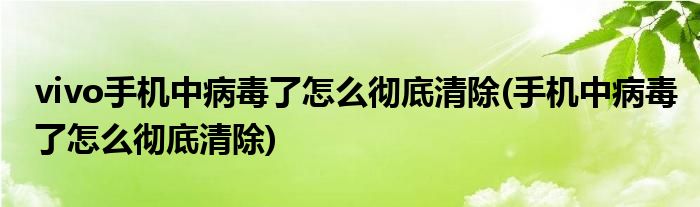 vivo手机中病毒了怎么彻底清除(手机中病毒了怎么彻底清除)