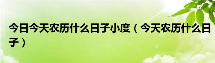 今日今天农历什么日子小度（今天农历什么日子）