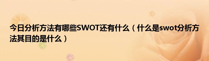 今日分析方法有哪些SWOT还有什么（什么是swot分析方法其目的是什么）