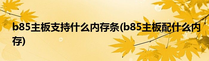 b85主板支持什么内存条(b85主板配什么内存)