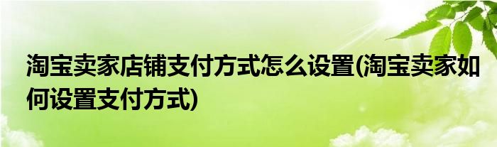 淘宝卖家店铺支付方式怎么设置(淘宝卖家如何设置支付方式)