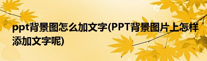 ppt背景图怎么加文字(PPT背景图片上怎样添加文字呢)