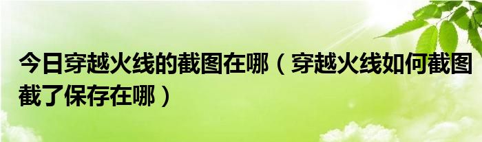 今日穿越火线的截图在哪（穿越火线如何截图截了保存在哪）