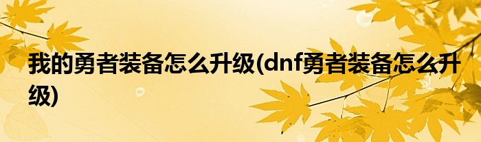 我的勇者装备怎么升级(dnf勇者装备怎么升级)