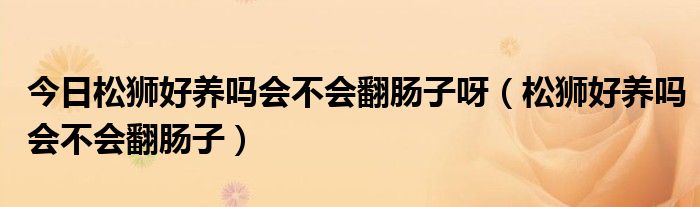 今日松狮好养吗会不会翻肠子呀（松狮好养吗会不会翻肠子）