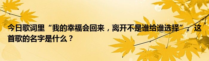 今日歌词里“我的幸福会回来，离开不是谁给谁选择”。这首歌的名字是什么？