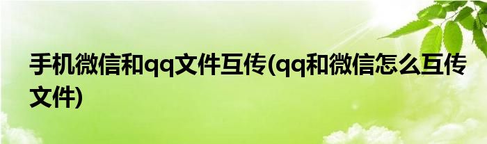 手机微信和qq文件互传(qq和微信怎么互传文件)