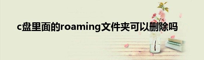 c盘里面的roaming文件夹可以删除吗