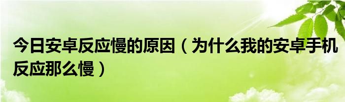 今日安卓反应慢的原因（为什么我的安卓手机反应那么慢）