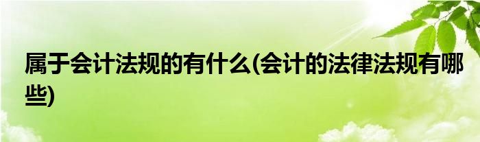 属于会计法规的有什么(会计的法律法规有哪些)