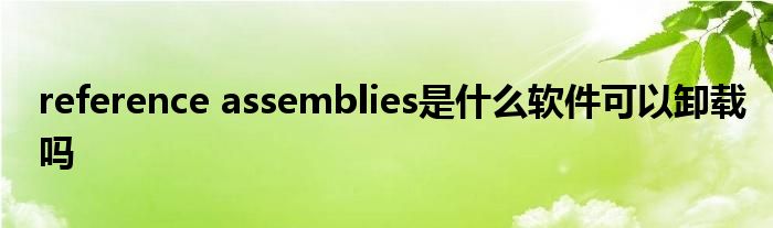 reference assemblies是什么软件可以卸载吗