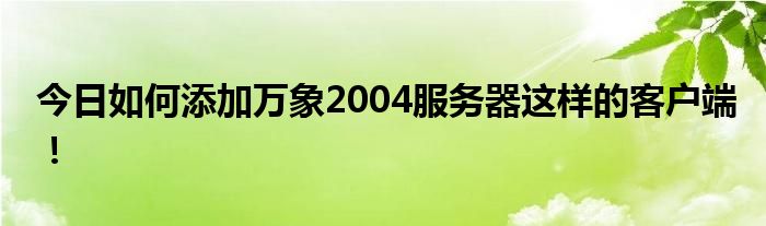 今日如何添加万象2004服务器这样的客户端！