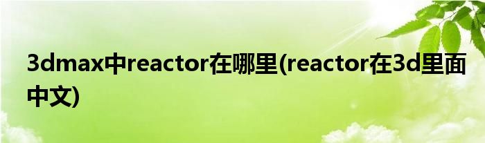 3dmax中reactor在哪里(reactor在3d里面中文)