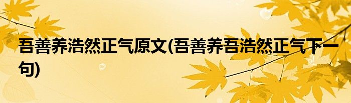 吾善养浩然正气原文(吾善养吾浩然正气下一句)