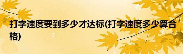 打字速度要到多少才达标(打字速度多少算合格)