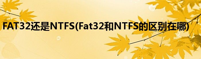 FAT32还是NTFS(Fat32和NTFS的区别在哪)