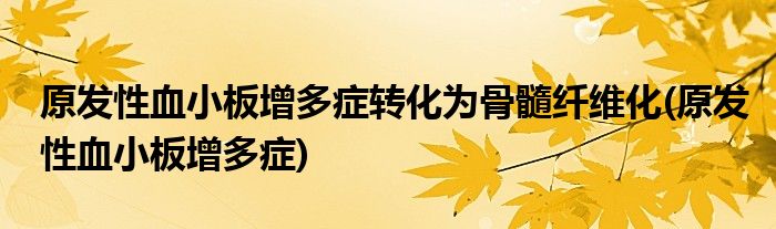 原发性血小板增多症转化为骨髓纤维化(原发性血小板增多症)