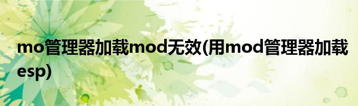 mo管理器加载mod无效(用mod管理器加载esp)