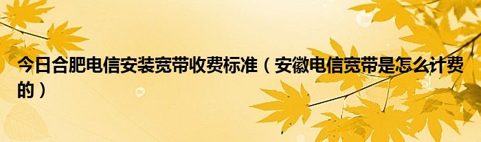 今日合肥电信安装宽带收费标准（安徽电信宽带是怎么计费的）