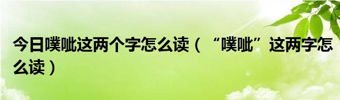 今日噗呲这两个字怎么读（“噗呲”这两字怎么读）