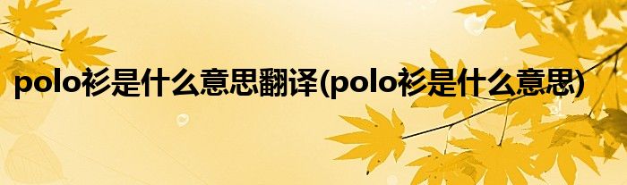 polo衫是什么意思翻译(polo衫是什么意思)