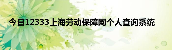 今日12333上海劳动保障网个人查询系统