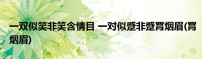 一双似笑非笑含情目 一对似蹙非蹙罥烟眉(罥烟眉)