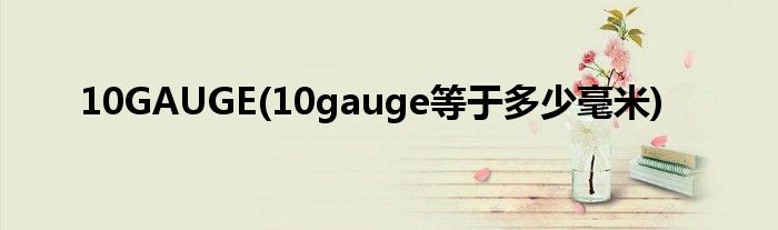 10GAUGE(10gauge等于多少毫米)