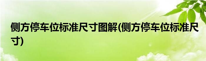 侧方停车位标准尺寸图解(侧方停车位标准尺寸)