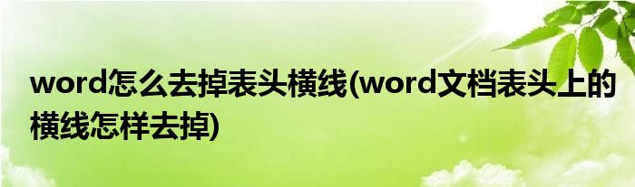 word怎么去掉表头横线(word文档表头上的横线怎样去掉)