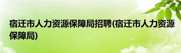 宿迁市人力资源保障局招聘(宿迁市人力资源保障局)