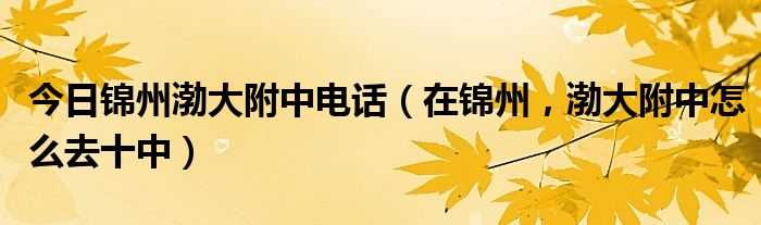 今日锦州渤大附中电话（在锦州，渤大附中怎么去十中）