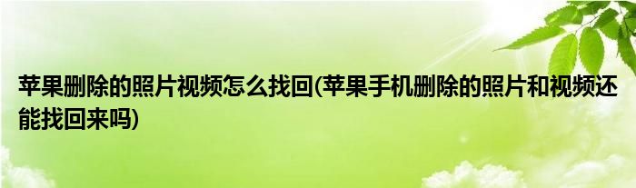 苹果删除的照片视频怎么找回(苹果手机删除的照片和视频还能找回来吗)