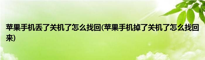 苹果手机丢了关机了怎么找回(苹果手机掉了关机了怎么找回来)