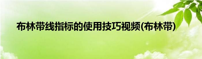 布林带线指标的使用技巧视频(布林带)